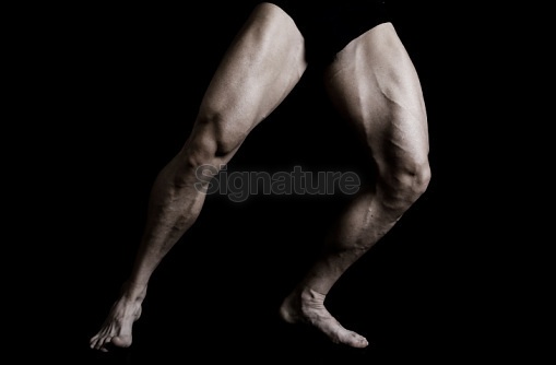 Muscular Legs 근육 다리 사람근육 다리 근육질