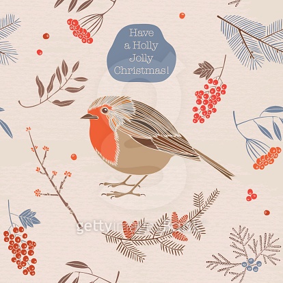 Christmas vector illustration. Robin bird with ash berries. (525528093 ...