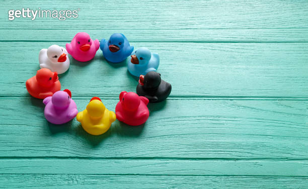 Group of multi-colored rubber ducks sit together in a circle on an old ...