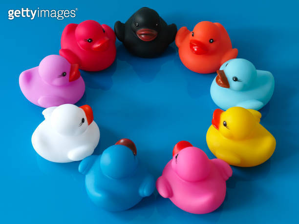 Group of multi-colored rubber ducks sit together in a circle on a ...