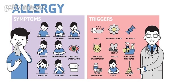 Allergy infographics. Allergy Symptoms and Triggers information poster ...
