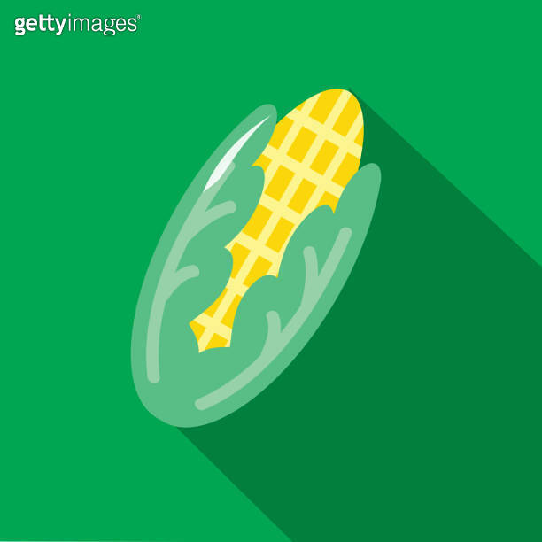 Cob of corn Vegetables Flat Design themed Icon with shadow (1019523102 ...