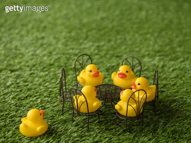 Group of five yellow rubber ducks sitting on chairs facing each other ...