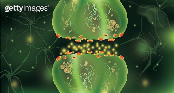 Signaling in the brain. Neural connections in the brain form thoughts ...