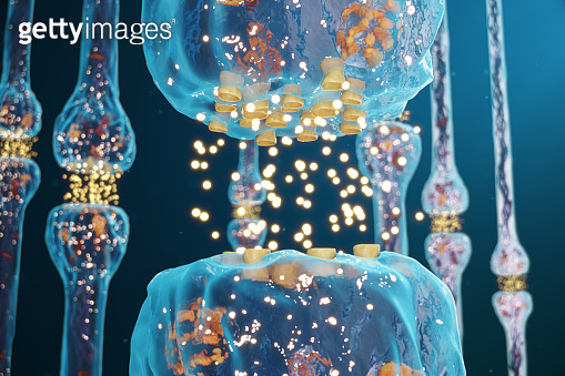 Synaptic transmission, human nervous system. Concept consciousness ...