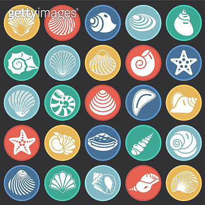 Sea Shell icons set on color circles black background for graphic and ...