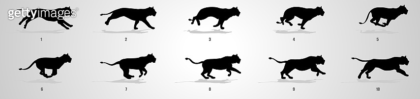 Lioness Run cycle animation Sequence (1177269418) 일러스트, 무료 일러스트 - 게티이미지뱅크