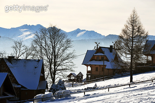 Christmas looking houses in the snow scene of fields, pine forest ...