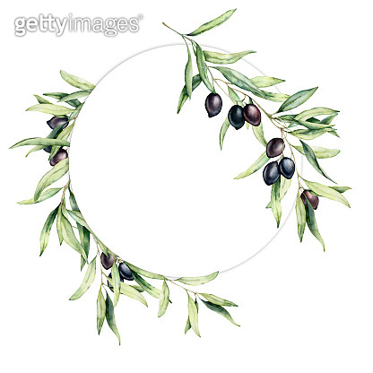 Watercolor wreath with olive berries and leaves. Hand painted floral ...