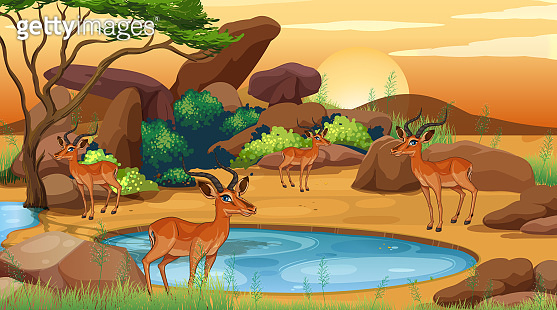 Scene with many deers at the open zoo (1187590502) 일러스트, 무료 일러스트 - 게티이미지뱅크