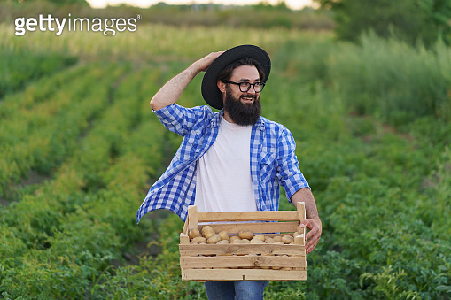 Farmer holding wooden crate of potatoes (1285823512) - 게티이미지뱅크