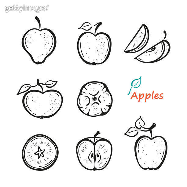 Apple Fruit Vector Set. Hand Drawn Doodle Apples with Leaves and Apple ...