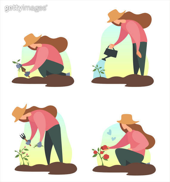 Woman seed a plant in ground. .People summer gardening - set of vector ...
