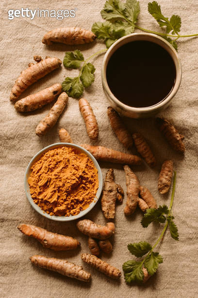 Fresh and organic turmeric root and powder with tea and coriander as ...