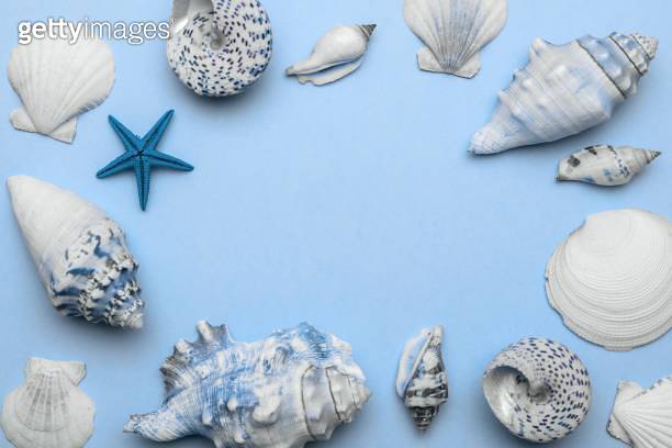 Sea Shells, starfish in shape frame. trendy aquamarine light blue ...