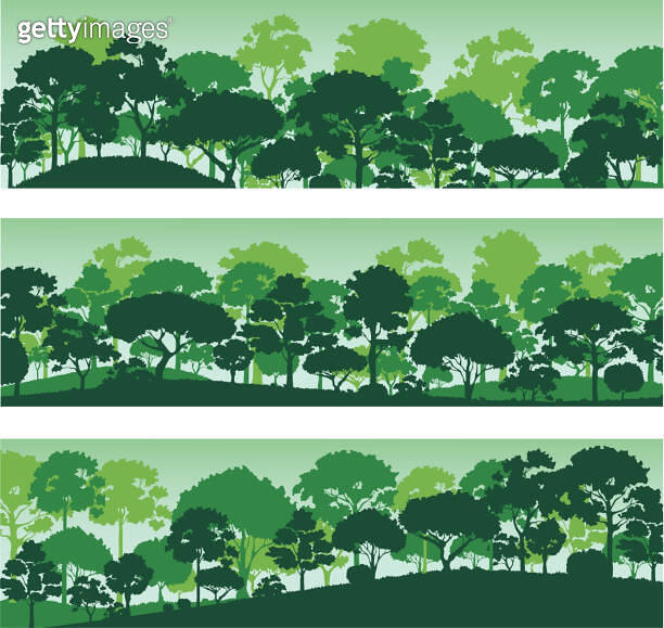 forest trees silhouettes , nature landscape background vector ...