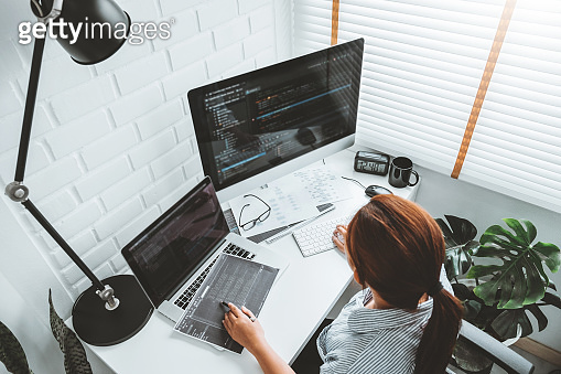 Developing programmer Development Website design and coding ...