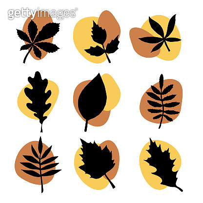 Vector set bundle of hand drawn autumn leaves silhouette and abstract ...