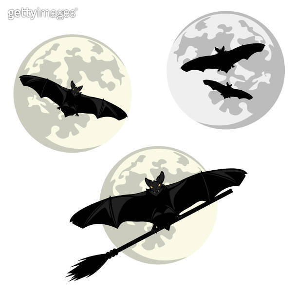 halloween vampire bat witch witch broom flying against full moon vector ...