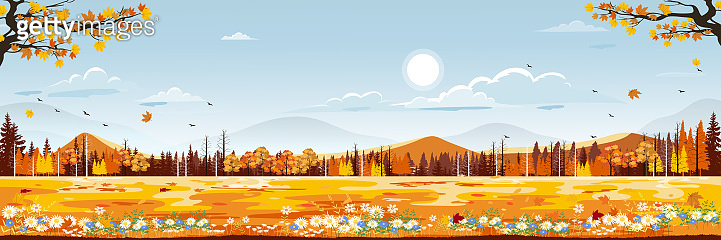 Autumn landscape in village with mountain, pinetree, blue sky and ...