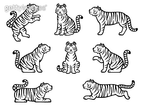 Hand drawn style illustration set of tigers in various poses ...
