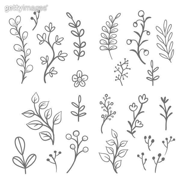 Floral ornaments vector doodles. Hand drawn leaves and branches ...