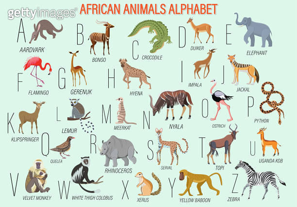 Large collection of African animals. African animals alphabet, types ...