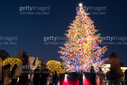Big outdoor Christmas tree and people in Tokyo, Japan (1444425965) - 게티 ...
