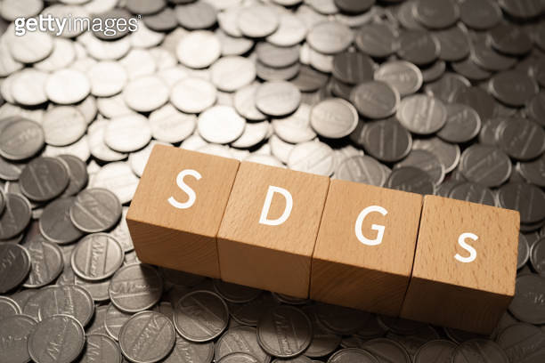 Wooden blocks with "SDGs" text of concept and coins. (1373190713) - 게티이미지뱅크
