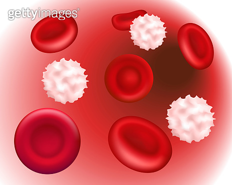 Red and white blood cells in a vein. Healthy human blood under ...