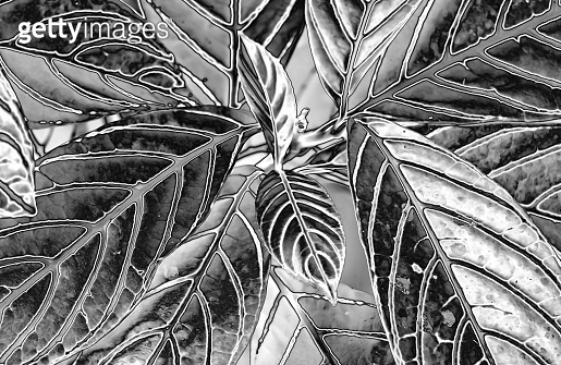 Pop Art Surreal Style Gradient Metallic Silver Colored Plant Leaves ...