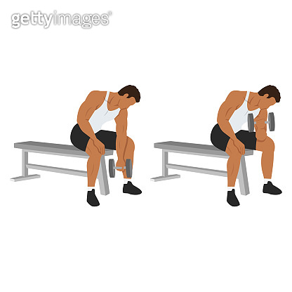 Man doing Dumbbell concentration curl. Flat vector illustration ...
