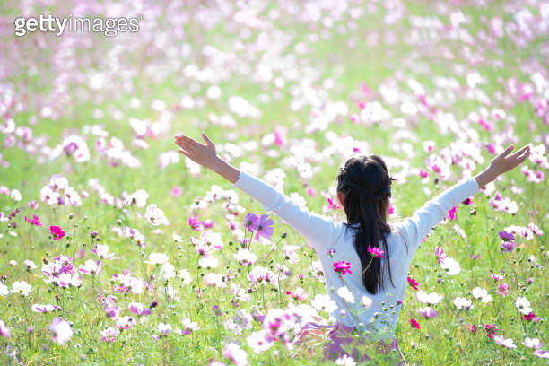 girl opens arms in flower field (1748375234) - 게티이미지뱅크