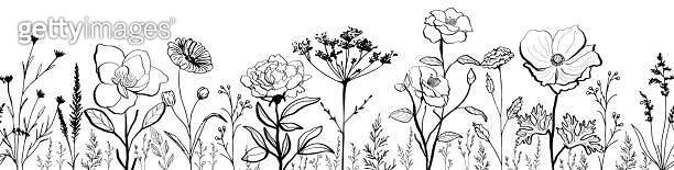 Hand drawn meadow flowers and grass, seamless border, vector doodle ...