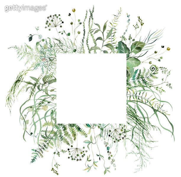 Square frame with Watercolor fern twigs with green leaves isolated ...
