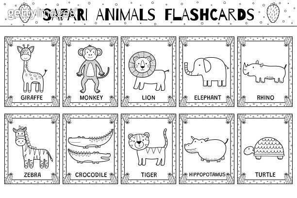 Safari animals flashcards black and white collection for kids. Flash ...