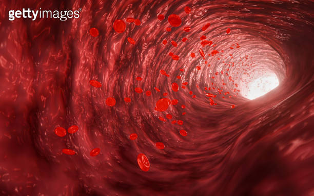 Red blood cells in an artery or blood vessel , flow inside body ...