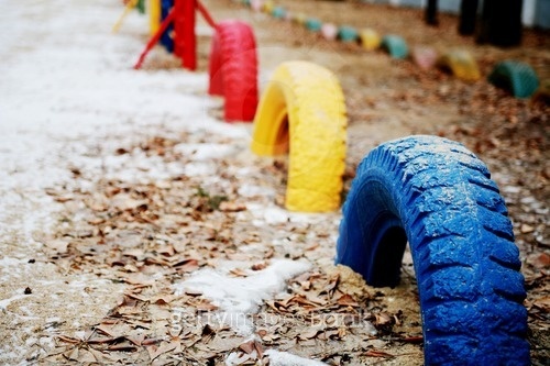 Fallen leaves with row of tires (a4001920) - 게티이미지뱅크