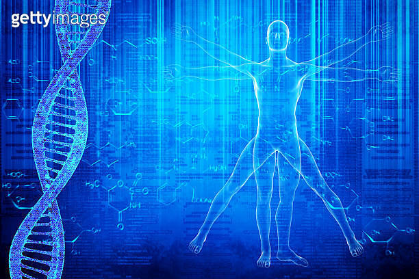 DNA molecules and virtuvian man 이미지 (456054995) - 게티이미지뱅크