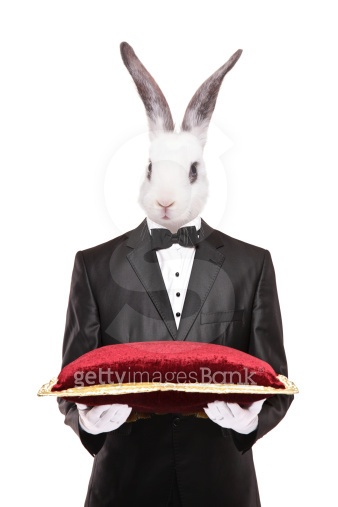 Rabbit in a suit holding red velvet pillow (479116103) - 게티이미지뱅크
