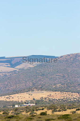 uMgungundlovu in KwaZuluNatal, South Africa 이미지 (508214203) 게티이미지뱅크