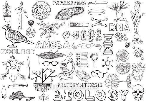 Biology Science Doodle Hand Drawing isolated Elements. Science and ...