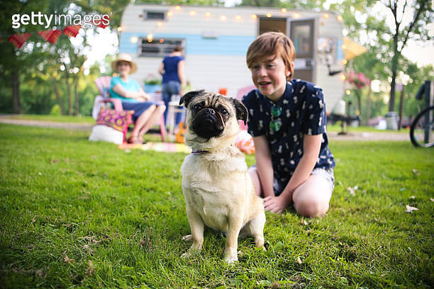 Adorable Boy and Pug Dog Vintage Camping with Friends Family (578574778 ...