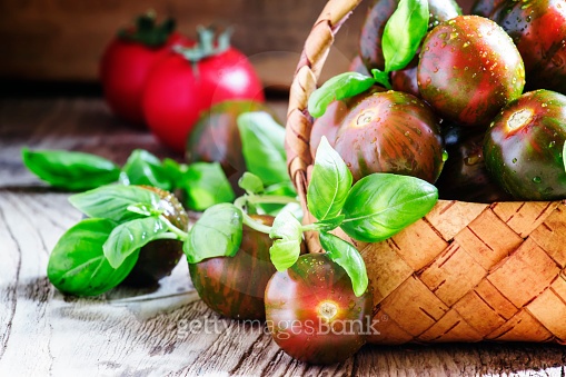 Black and red cherry tomatoes, Italian green basil 이미지 (530506042) - 게티 ...
