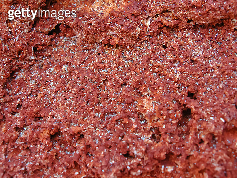 Red shell rock, stone material. Natural texture of coquina, abstract ...