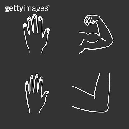General Body Icon Human body parts icons 이미지 (858970452) - 게티이미지뱅크