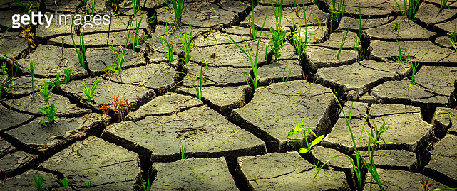 the decay of soil after a drought, the influence of an aggressive ...