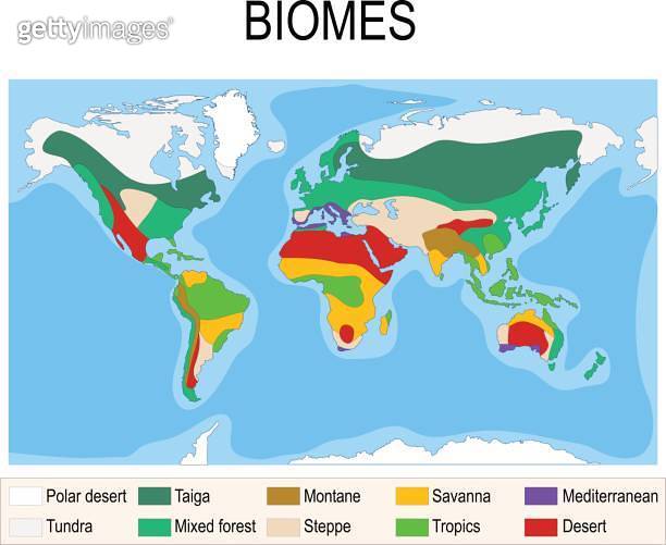 Biomes. Terrestrial ecosystem is a community of living organisms ...