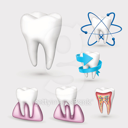 3d tooth collection. Set Tooth. Vector illustration. 이미지 (670040122 ...