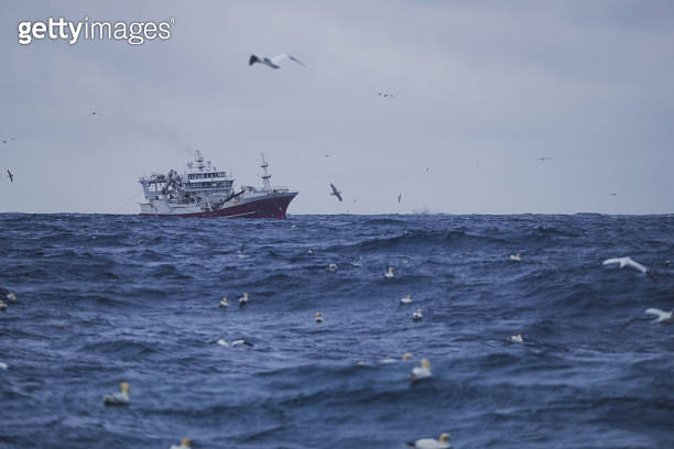 Fishing boat trawler sailing out at rough sea (1083641902) - 게티이미지뱅크
